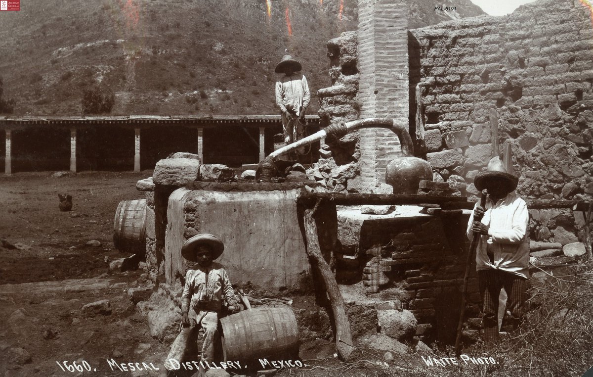 Archivo General de la Nación. Destilería de Mezcal 1905. Colección C.B. Waite​