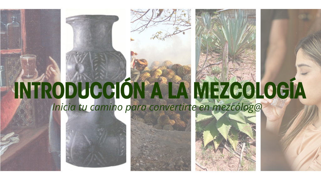 Acceso a introducción a la mezcología 