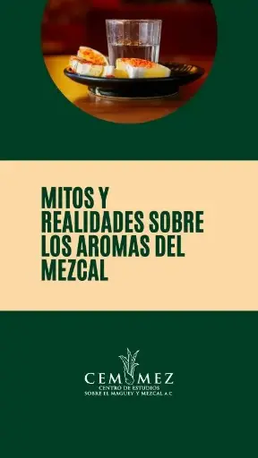 Mitos y realidades sobre los aromas del mezcal