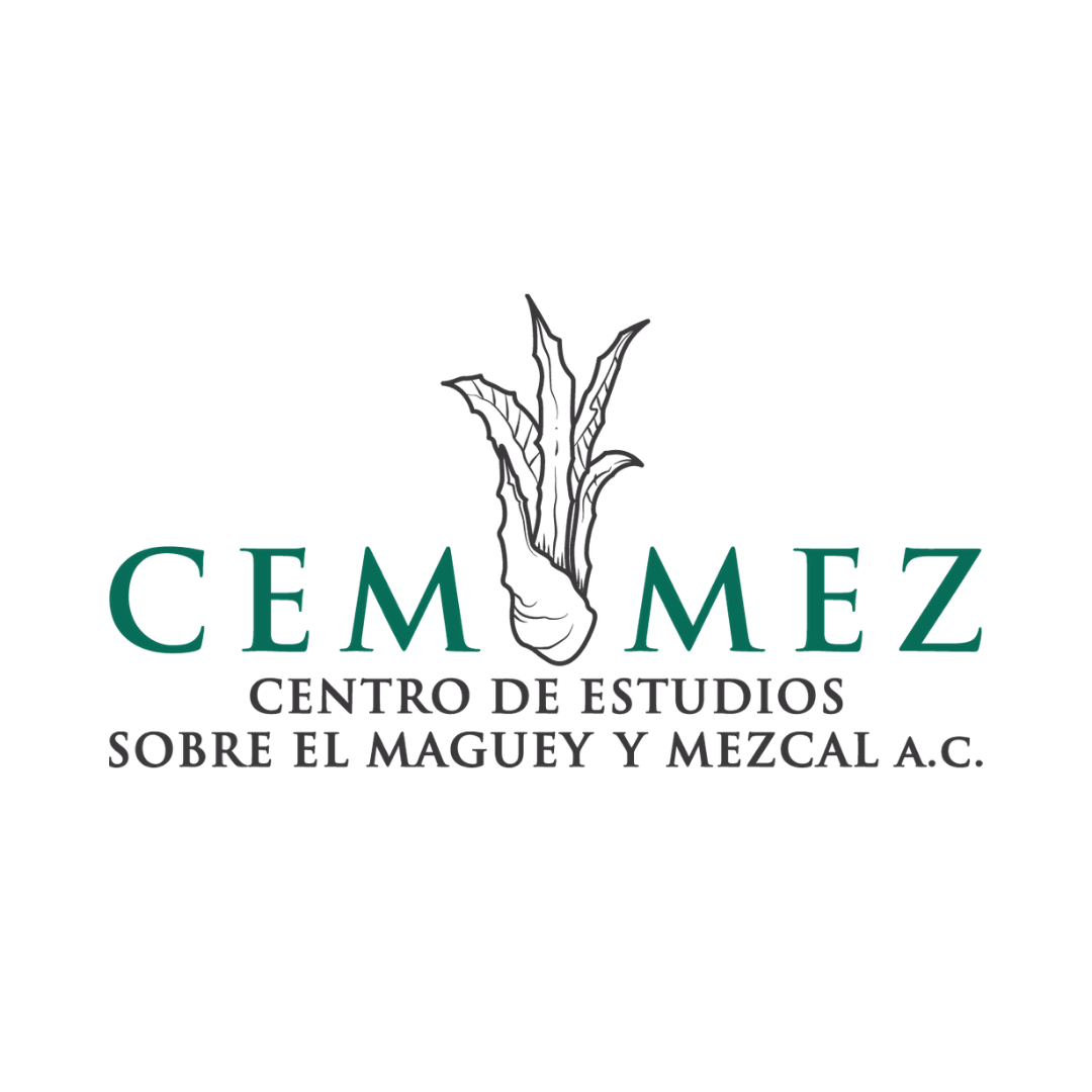cemmez.org.mx