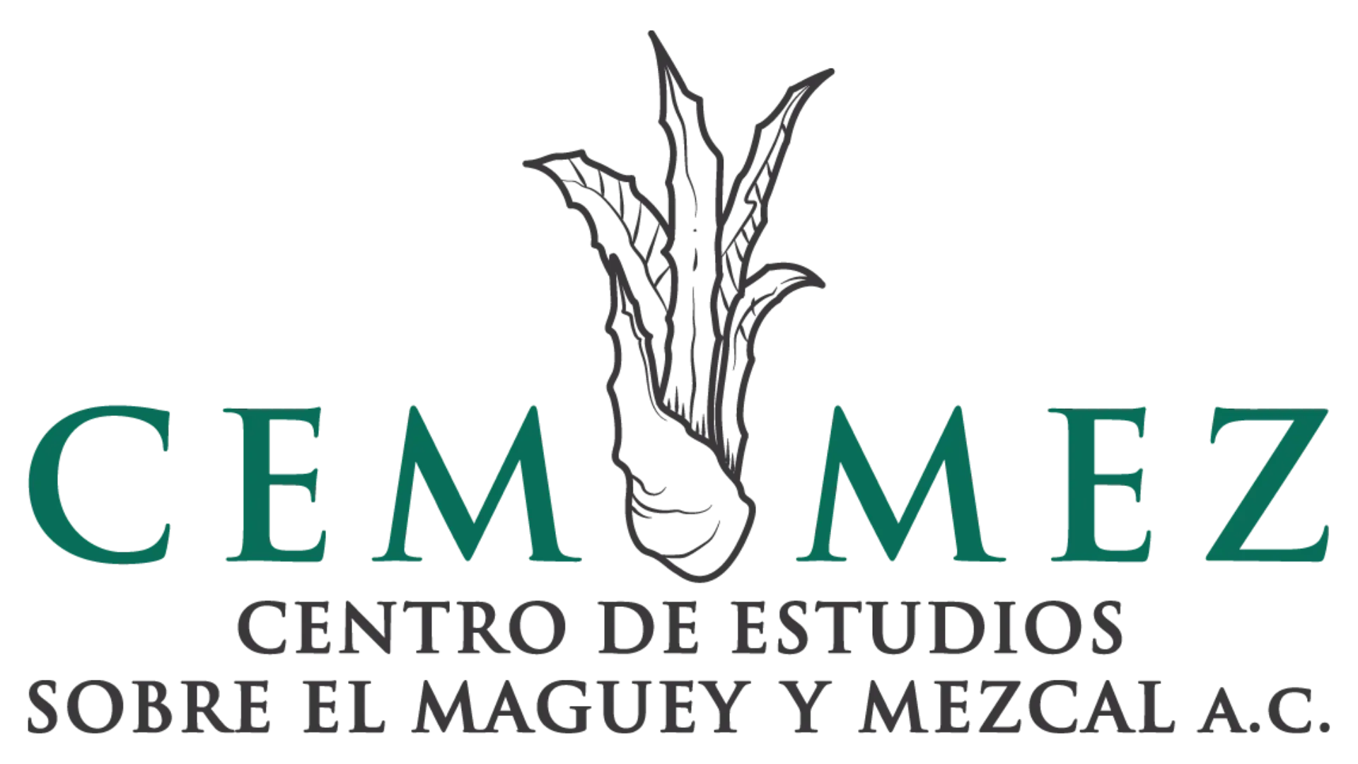 cemmez.org.mx