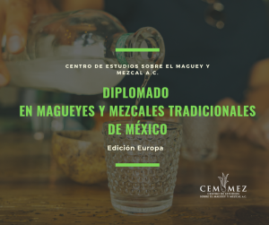 Diplomado en magueyes y mezcales tradicionales de México